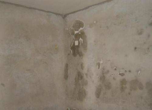 什么是墻面反堿？家中墻體返堿掉皮怎么處理？